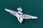 Pegaso Z-102 B Berlinetta 1953 года